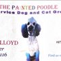 Photo of The Painted Poodle
