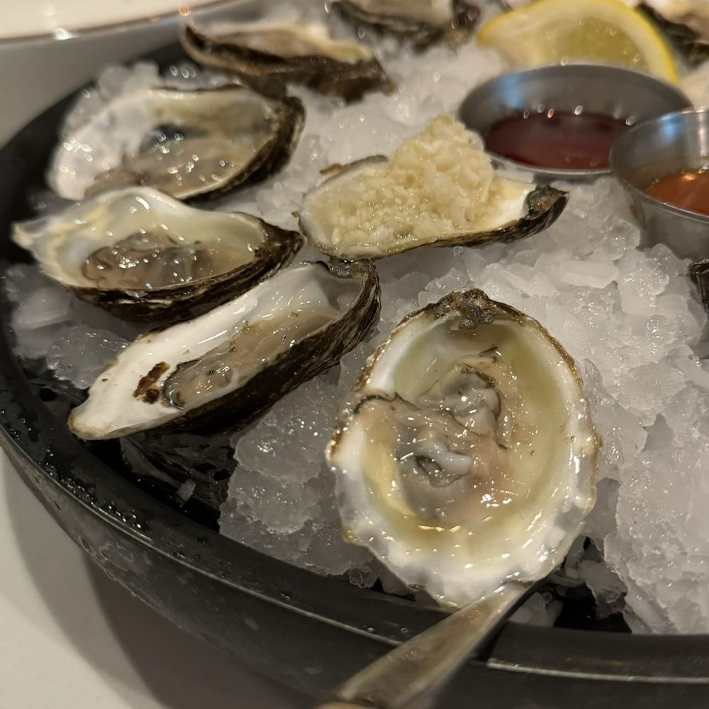 Oysters Oysters