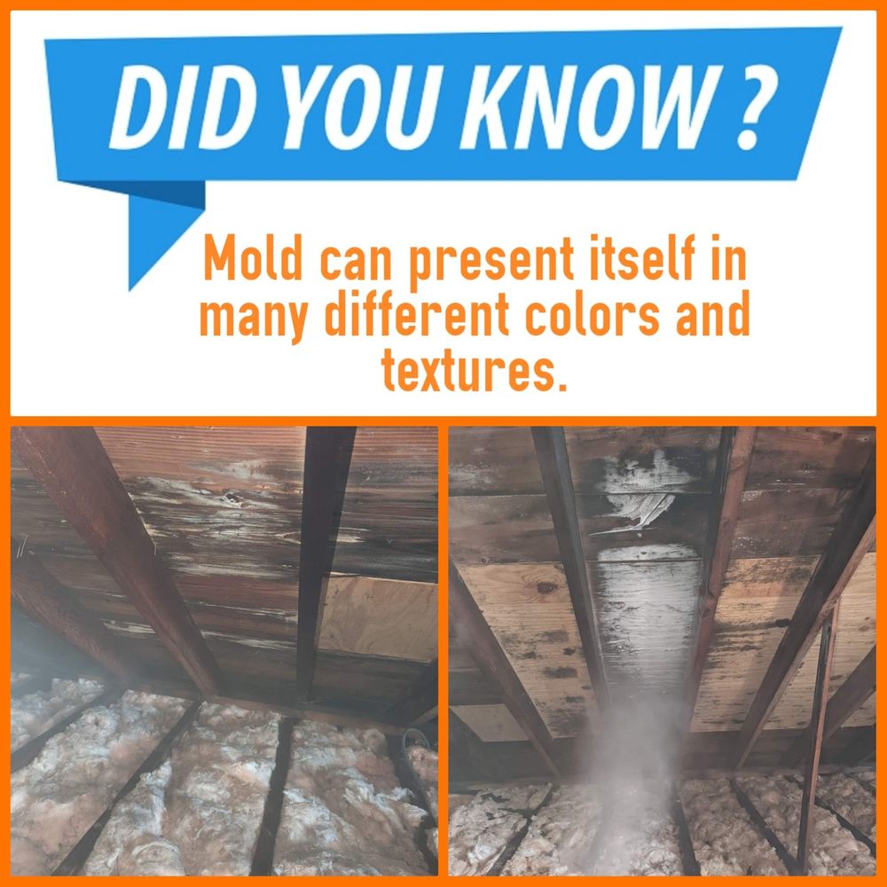 SAFER HOME SERVICES Updated April 2024 1409 Marlton Pike W, Cherry