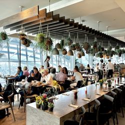 Darwin Brasserie - Main dining area