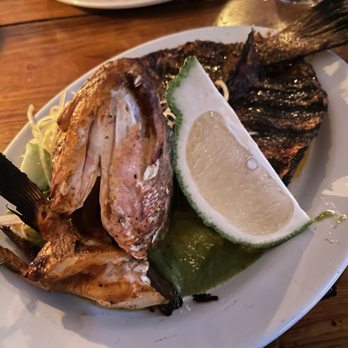 Hartwood - Pargo en Mariposa - Mexican Near Me - Tulum, ROO Hartwood - Pargo en Mariposa - Mexican Near Me - Tulum, ROO
