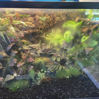 Redwood Barn Nursery - Nurseries & Gardening Near Me - Davis, California Redwood Barn Nursery - Nurseries & Gardening Near Me - Davis, California