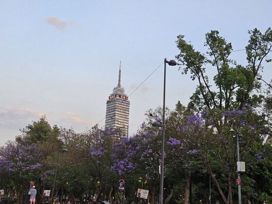 Alameda Central by null