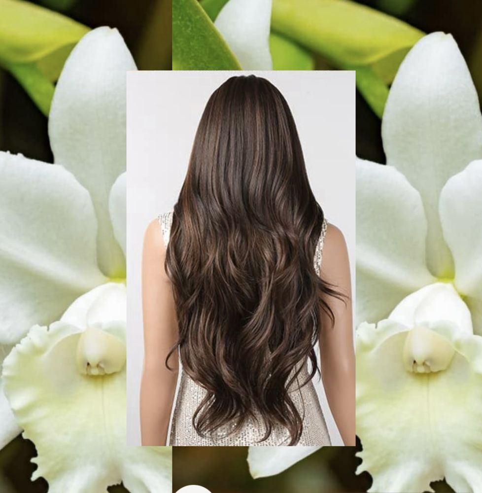 Hairstyle by Les Logo