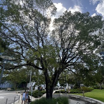 Island View Park - Parks Near Me - Miami Beach, Florida Island View Park - Parks Near Me - Miami Beach, Florida