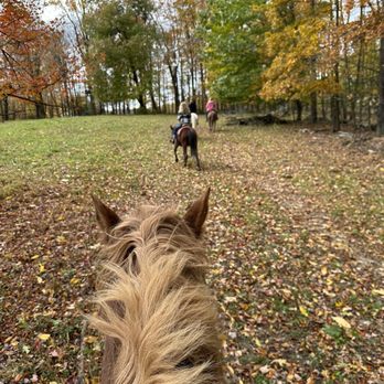 Juckas Riding Stables - Horseback Riding Near Me - Pine Bush, New York Juckas Riding Stables - Horseback Riding Near Me - Pine Bush, New York