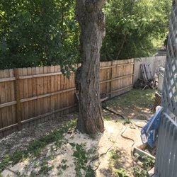 D's Trees - When I said it was tight I was not exaggerating.