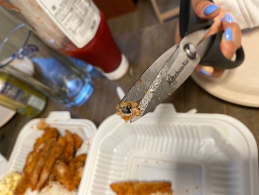 Aloha Hawaiian Barbecue by null