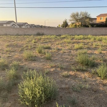 Western Weed Abatement - Before - Lawn Services Near Me Western Weed Abatement - Before - Lawn Services Near Me