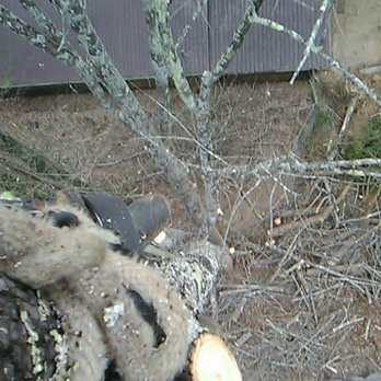 Smith's Tree Service - Tree Services Near Me