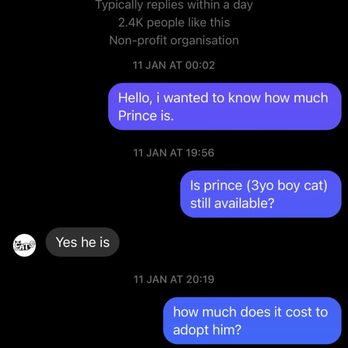 Caring About The Strays - This was my facebook interaction for an inquiry for a cat. - Thrift Stores Near Me - Westwood, New Jersey Caring About The Strays - This was my facebook interaction for an inquiry for a cat. - Thrift Stores Near Me - Westwood, New Jersey