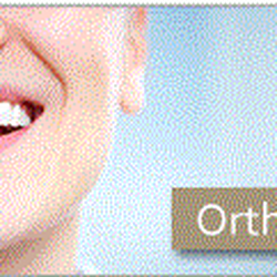 Seth D Feldman, DDS