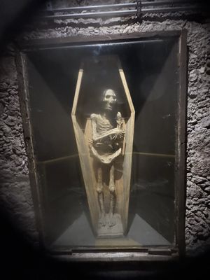Museum of the Mummies of Guanajuato by null
