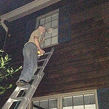 Bee Removal Service - Pest Control Near Me - Elkridge, Maryland Bee Removal Service - Pest Control Near Me - Elkridge, Maryland