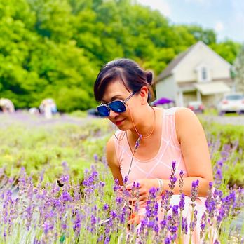 Pleasant Valley Lavender - Pick Your Own Farms Near Me - Morganville, New Jersey Pleasant Valley Lavender - Pick Your Own Farms Near Me - Morganville, New Jersey
