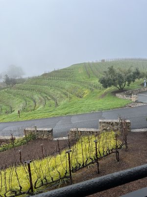 Pride Mountain Vineyards by null