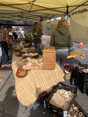 Easton Farmers' Market by null