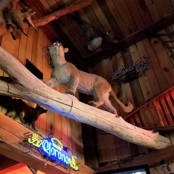 Thirty-Six Saloon - puma! - Bars Near Me - Rockville, Indiana Thirty-Six Saloon - puma! - Bars Near Me - Rockville, Indiana