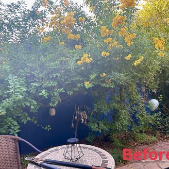Eddy’z Landscaping - Before... - Landscaping Near Me