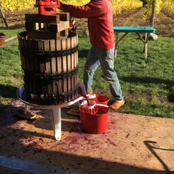 Sailor Vineyard