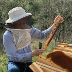 Bee Mindful