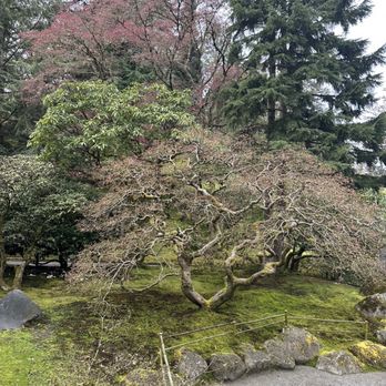 Seattle Japanese Garden - Beautiful - Botanical Gardens Near Me - Seattle, Washington Seattle Japanese Garden - Beautiful - Botanical Gardens Near Me - Seattle, Washington