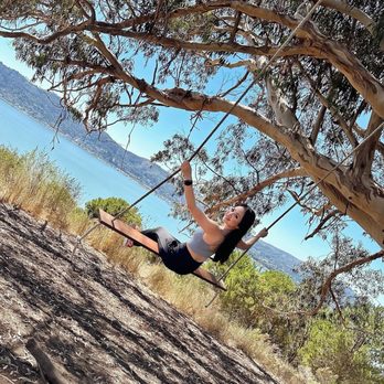 Hippie Tree - Hiking Near Me - Tiburon, California