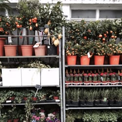Flower Warehouse