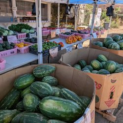 Bonsall Farms Farmer's Market