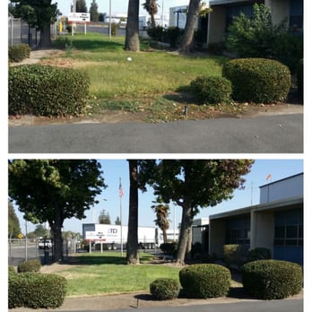 Master Image Gardening - two different views of the same yard - Landscaping Near Me Master Image Gardening - two different views of the same yard - Landscaping Near Me