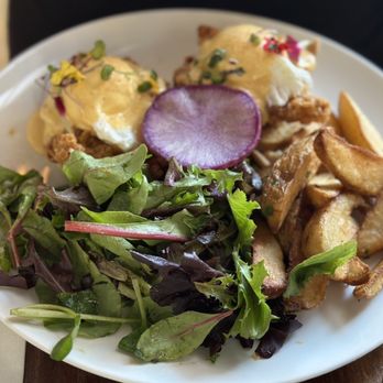 Lapisara Eatery - Fried Chicken Benedict - Breakfast & Brunch Near Me - San Francisco, California Lapisara Eatery - Fried Chicken Benedict - Breakfast & Brunch Near Me - San Francisco, California