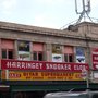Harringay Snooker Club