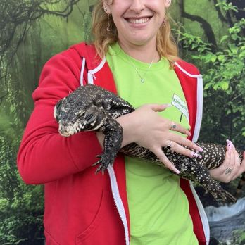 Kids Reptile Parties - Party & Event Planning Near Me Kids Reptile Parties - Party & Event Planning Near Me