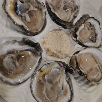 PIER 22 - Oysters - New American Near Me - Bradenton, Florida PIER 22 - Oysters - New American Near Me - Bradenton, Florida
