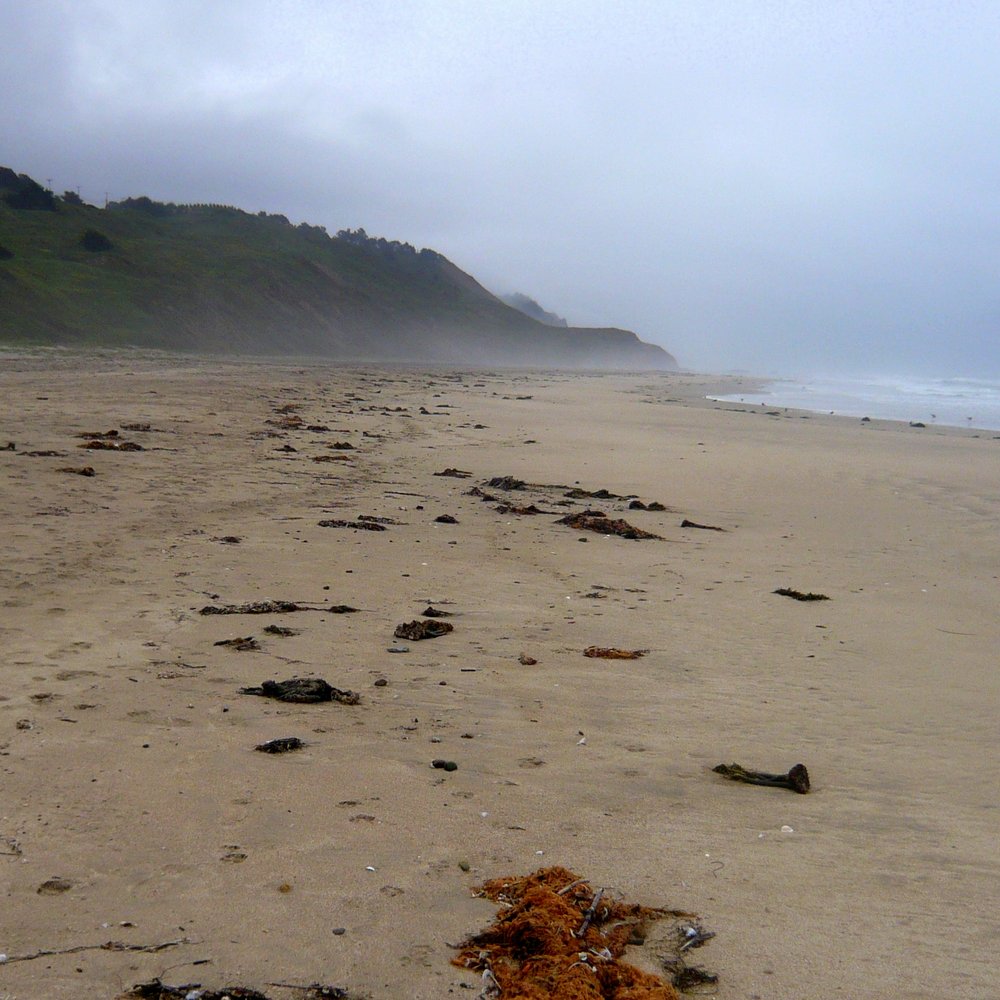 Tunitas Creek Beach - Beach scene looking South - Hiking Near Me - Half Moon Bay, California Tunitas Creek Beach - Beach scene looking South - Hiking Near Me - Half Moon Bay, California