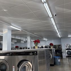 Snow White Laundromat - Clean washers