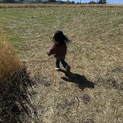 Brite Creek Farm