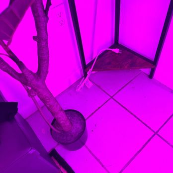Boca Tanning Club - Miami - Spray Tanning Near Me - Miami, Florida Boca Tanning Club - Miami - Spray Tanning Near Me - Miami, Florida