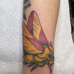 fuzzy maple moth done by chas fuzzy maple moth done by chas