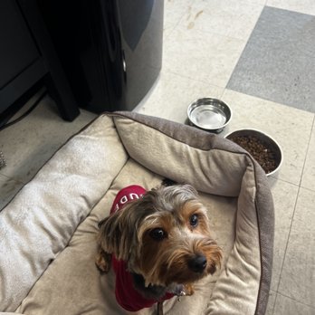 PetSmart - Pet Stores Near Me - Tustin, California PetSmart - Pet Stores Near Me - Tustin, California