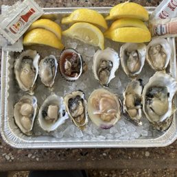 Twelve different oysters Twelve different oysters
