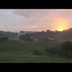 Springfield Farm - Sunrise over one of three chicken houses.