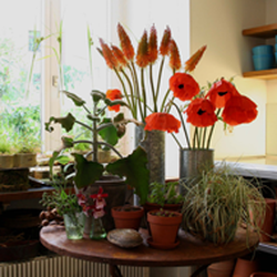 Wilde Blumen