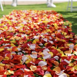 Country Bouquets Maui - Petal Scatter!