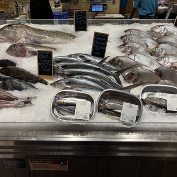 Wegmans - A seafood display at Wegmans in Norwalk, CT, shows a variety of fresh fish on ice, including whole sardines, mackerel, black sea bass, and porgy. Small blackboards indicate the types and prices of the fish, with some packaged in aluminum trays. The background reveals store staff and checkout counters, emphasizing the retail environment. The display is organized with fish laid out neatly on crushed ice for customer selection. - Grocery Near Me - Norwalk, Connecticut
