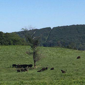 Sky Meadows State Park - Parks Near Me - Delaplane, Virginia
