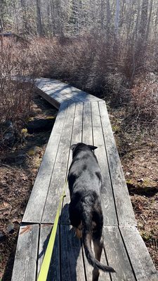 Mountain Top Arboretum by null