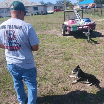 Macho Camacho's Dog Training - Pet Training Near Me