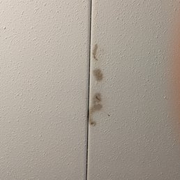 On the ceiling above Room 109. What could this be? What happened in the room above us? On the ceiling above Room 109. What could this be? What happened in the room above us?
