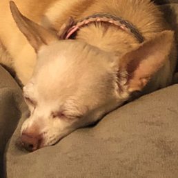 My sweet little girl
